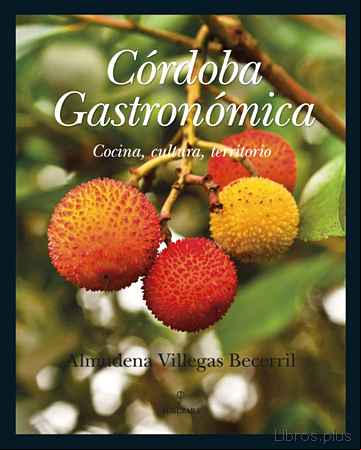 Descargar ebook CORDOBA GASTRONOMICA