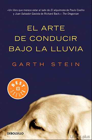 Descargar ebook EL ARTE DE CONDUCIR BAJO LA LLUVIA en epub